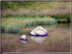 foto Lago di Montalon